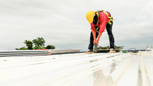 Best Roof Moss and Algae Removal  in Uniontown, OH