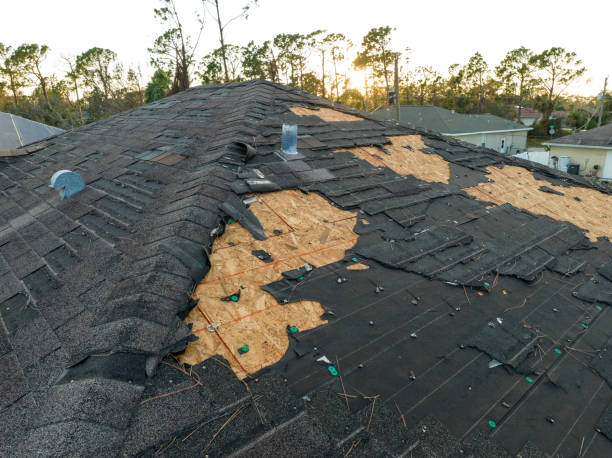 Best Roof Maintenance and Cleaning  in Uniontown, OH